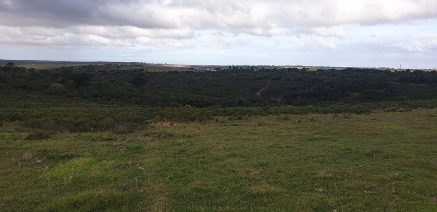 8 Bedroom Property for Sale in Uitenhage Rural Eastern Cape